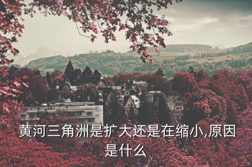 黃河三角洲