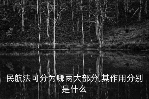 民航法可分為哪兩大部分,其作用分別是什么