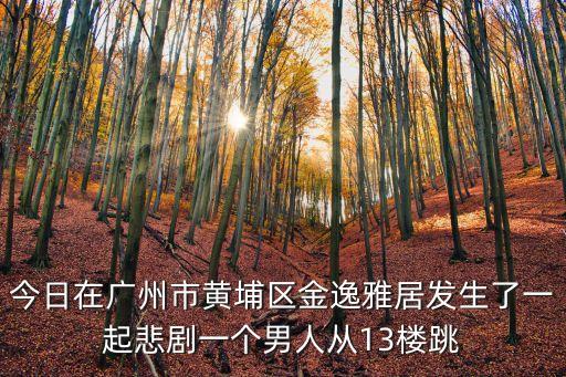 廣州黃埔大院樓歪，廣州市黃埔區荔香路41號大院在哪里