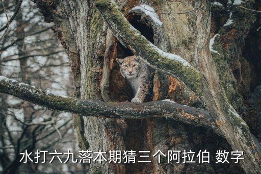 水打一數字,順風順水打一數字