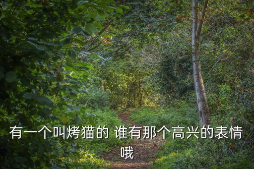 有一個叫烤貓的 誰有那個高興的表情哦