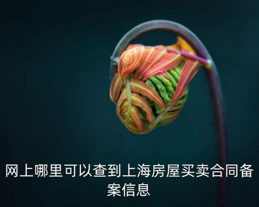 上海市房管局備案，上海外來人口居住證住房備案證明在哪里辦