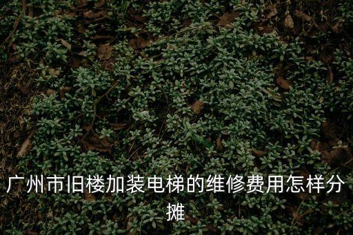 廣州加裝電梯費用計算，廣州安裝電梯多少錢一層