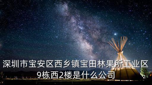 深圳市寶安區西鄉鎮寶田林果所工業區9棟西2樓是什么公司