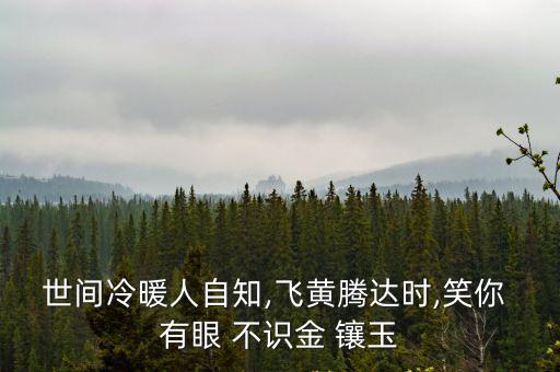 有眼不識金鑲玉,有眼不識金鑲玉:本來就不知道有人這么做