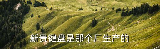 新貴鍵盤是那個(gè)廠生產(chǎn)的