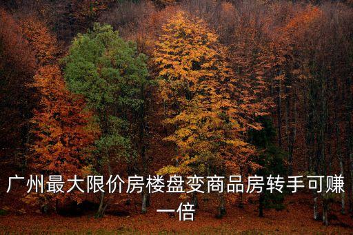廣州最大限價房樓盤變商品房轉手可賺一倍