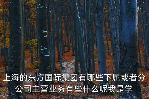上海的東方國際集團有哪些下屬或者分公司主營業(yè)務(wù)有些什么呢我是學(xué)