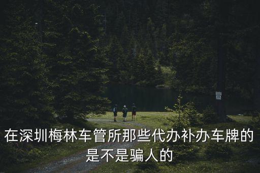 在深圳梅林車管所那些代辦補辦車牌的是不是騙人的