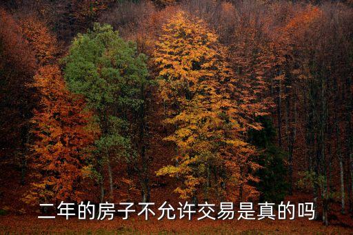 廣州房子兩年內(nèi)不讓賣，廣州房子限制交易二年三年司法拍賣二次過戶怎么辦不能過那不等