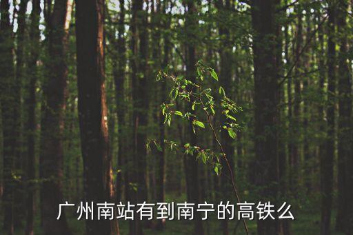 廣州南站到南寧東高鐵，廣州南有高鐵發(fā)往南寧火車站嗎