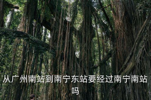 從廣州南站到南寧東站要經過南寧南站嗎