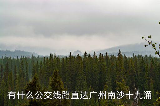 有什么公交線路直達廣州南沙十九涌