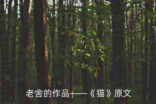  老舍的作品——《貓》原文