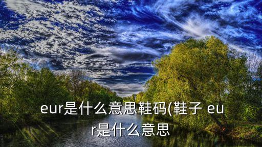  eur是什么意思鞋碼(鞋子 eur是什么意思