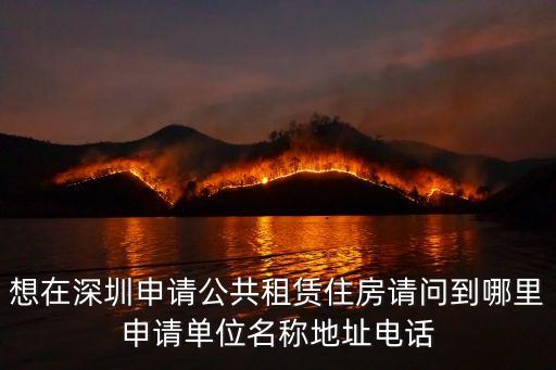 想在深圳申請公共租賃住房請問到哪里申請單位名稱地址電話