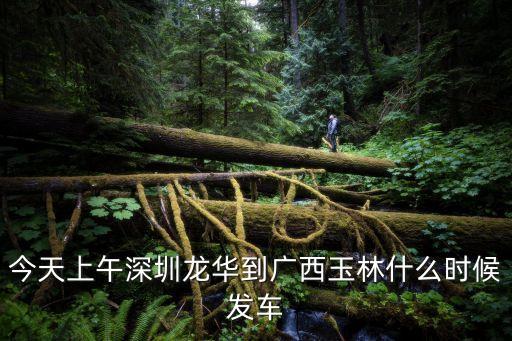 今天上午深圳龍華到廣西玉林什么時候發車