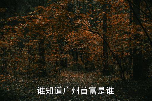 廣州黑色會趙文剛，誰知道廣州首富是誰