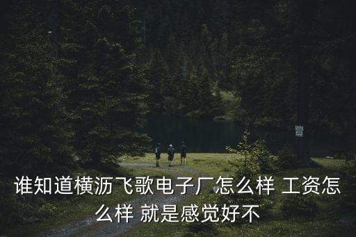 廣州飛歌待遇怎么樣，誰知道橫瀝飛歌電子廠 里面怎么樣 工資怎么樣
