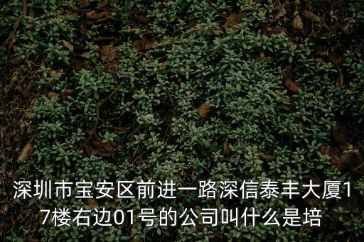 深圳市英智聯，深圳市福田區國際大廈3302是家什么公司
