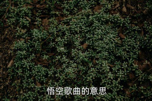  悟空歌曲的意思