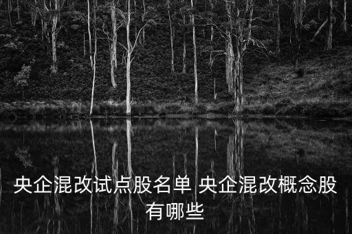 上海市混改試點，營改增試點都有哪些省市申報了