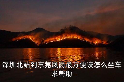 深圳北站到東莞鳳崗最方便該怎么坐車求幫助