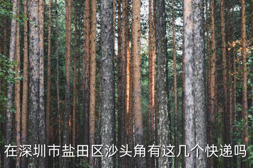 在深圳市鹽田區(qū)沙頭角有這幾個快遞嗎