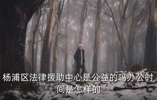 楊浦區(qū)法律援助中心是公益的嗎辦公時間是怎樣的