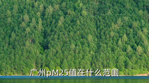 廣州pM25值在什么范圍