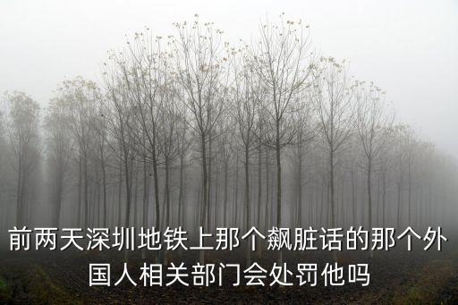 前兩天深圳地鐵上那個飆臟話的那個外國人相關部門會處罰他嗎