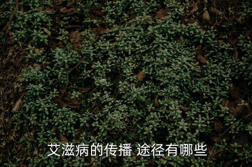 艾滋病的傳播 途徑有哪些