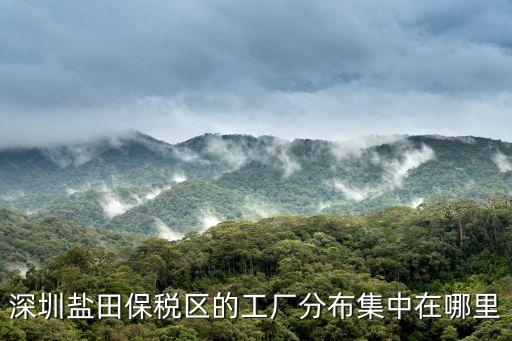 深圳鹽田保稅區(qū)的工廠分布集中在哪里