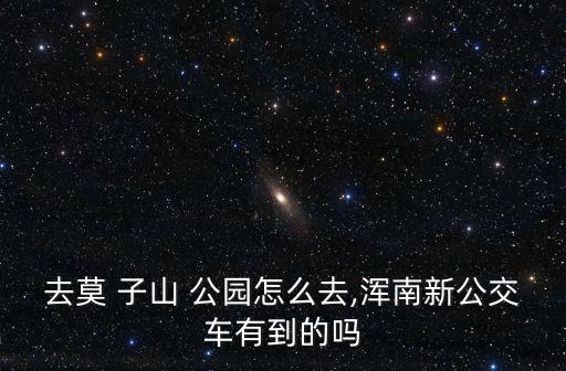 去莫 子山 公園怎么去,渾南新公交車有到的嗎