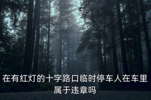 在有紅燈的十字路口臨時停車人在車里屬于違章嗎