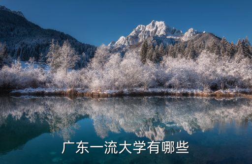 廣州大學雙一流大學，廣州大學全國排名