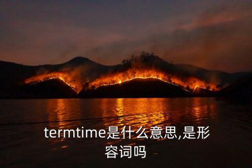 term什么意思