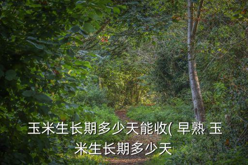 早熟玉米,玉米促早熟技術(shù)還是晚熟玉米早熟
