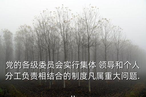 黨的各級委員會實行集體 領導和個人分工負責相結合的制度凡屬重大問題...