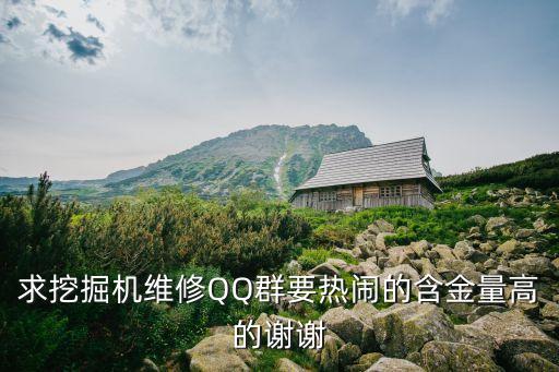求挖掘機維修QQ群要熱鬧的含金量高的謝謝