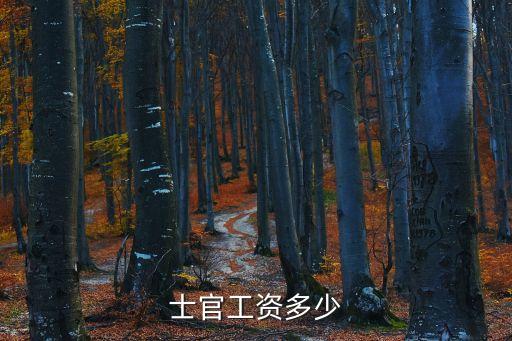 士官工資多少