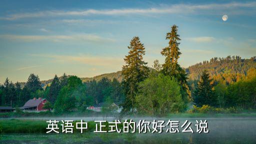 正式的英文,正式英文:發(fā)布；問答（十）