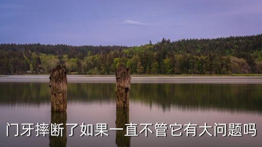 廣州瑞爾 卓正 牙科，牙套還可以帶不