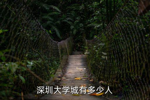 深圳市大學(xué)人口比例，深圳大學(xué)在校人數(shù)