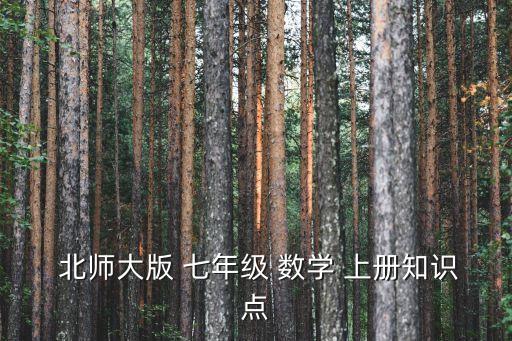 北師大版七年級上冊數(shù)學(xué)