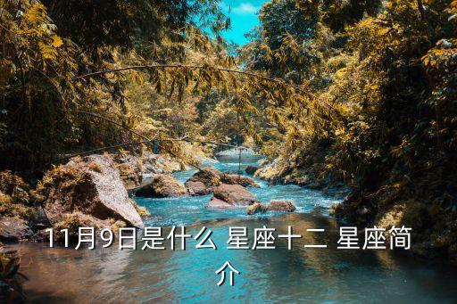 11月9日是什么星座,2003年11月9日是什么星座