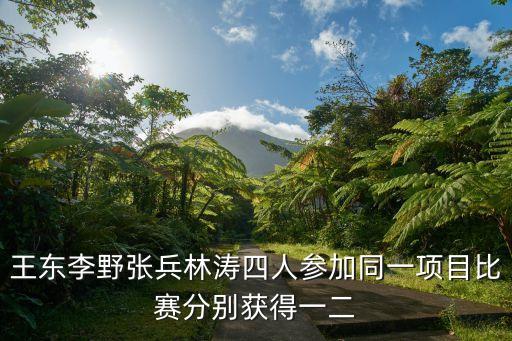 深圳國土資源局王東，王東李野張兵林濤四人參加同一項目比賽分別獲得一二