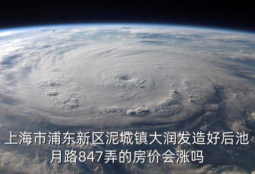 上海市浦東新區(qū)泥城鎮(zhèn)大潤發(fā)造好后池月路847弄的房價會漲嗎