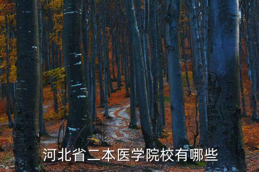  河北省二本醫學院校有哪些
