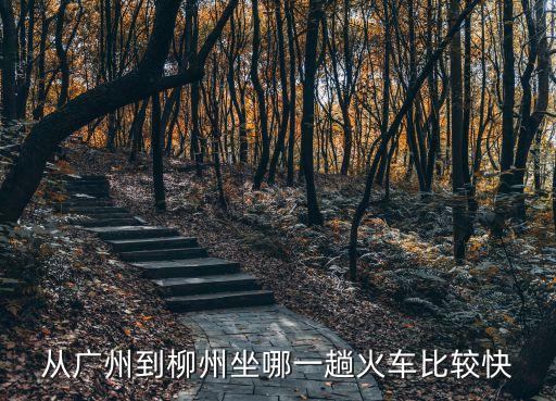 從廣州到柳州坐哪一趟火車比較快